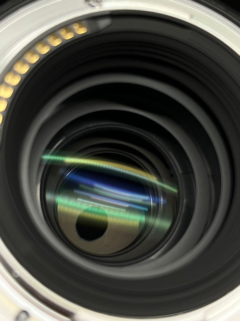 レンズ(単焦点) gizumo NIKKOR Z MC 105mm f/2.8 VR S