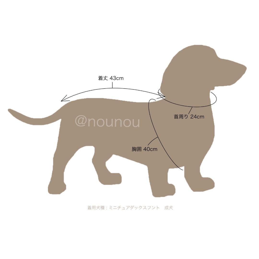 hunting pony　犬　ハーネス　キャメル
