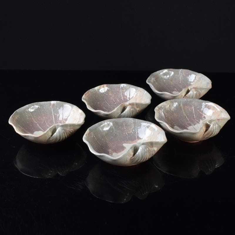 ピノ　和食器萩焼大華山鳥雲窯納富鳥雲作　貝形向付五客共箱　V　R8000B