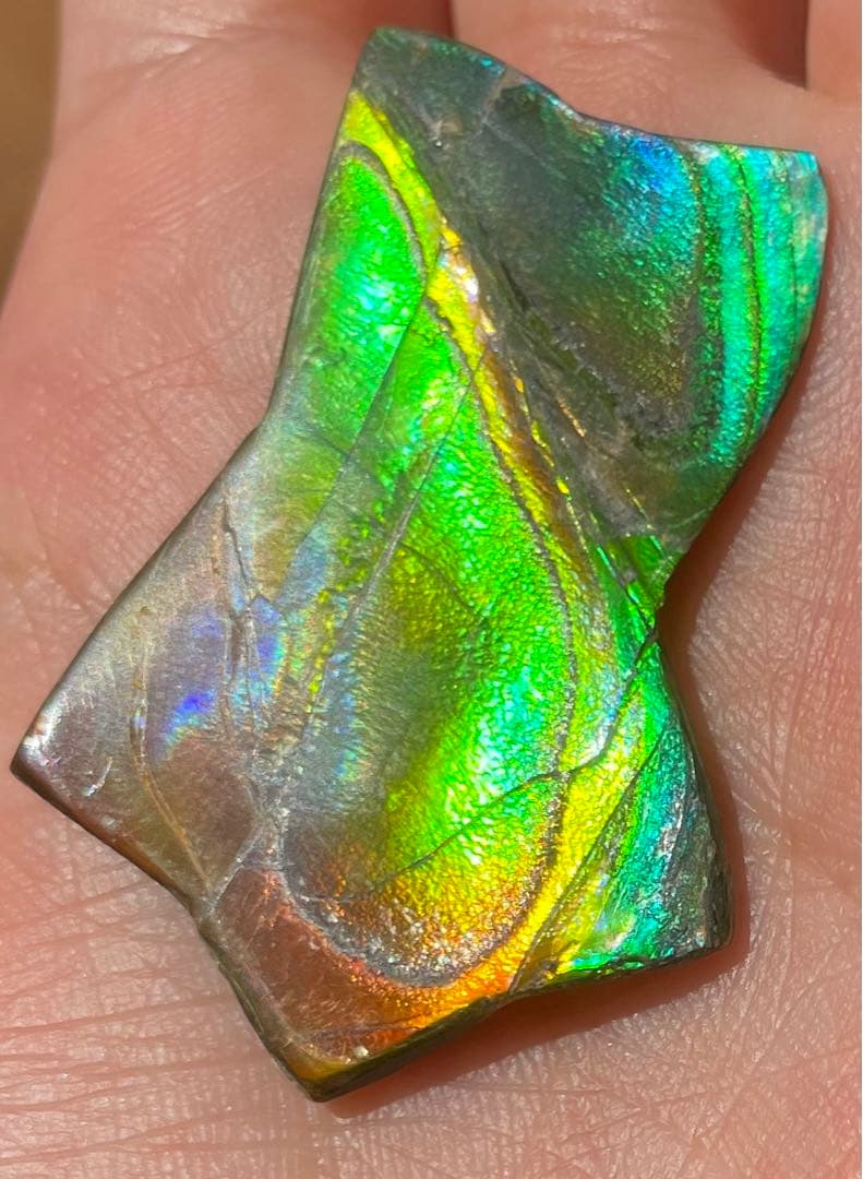 【期間限定セール】虹色星形　アンモライト　インペリアルレインボー　アンモライト