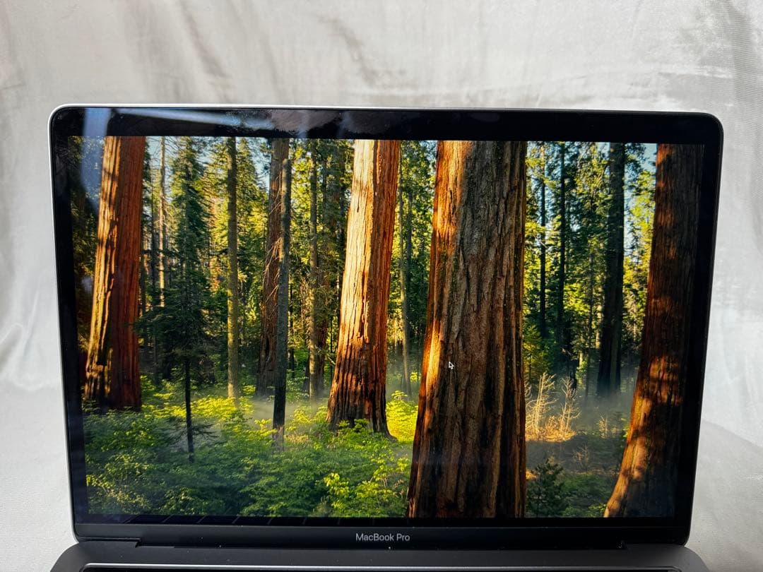 MacBookPro 13インチ(2019)Core i5/16GB/256GB