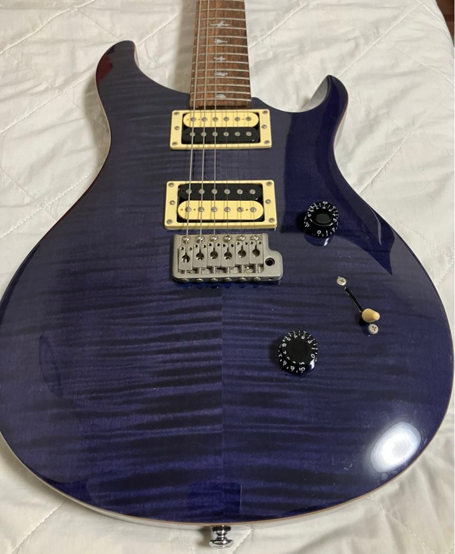 かぴ丸 Paul Reed Smith PRS SE