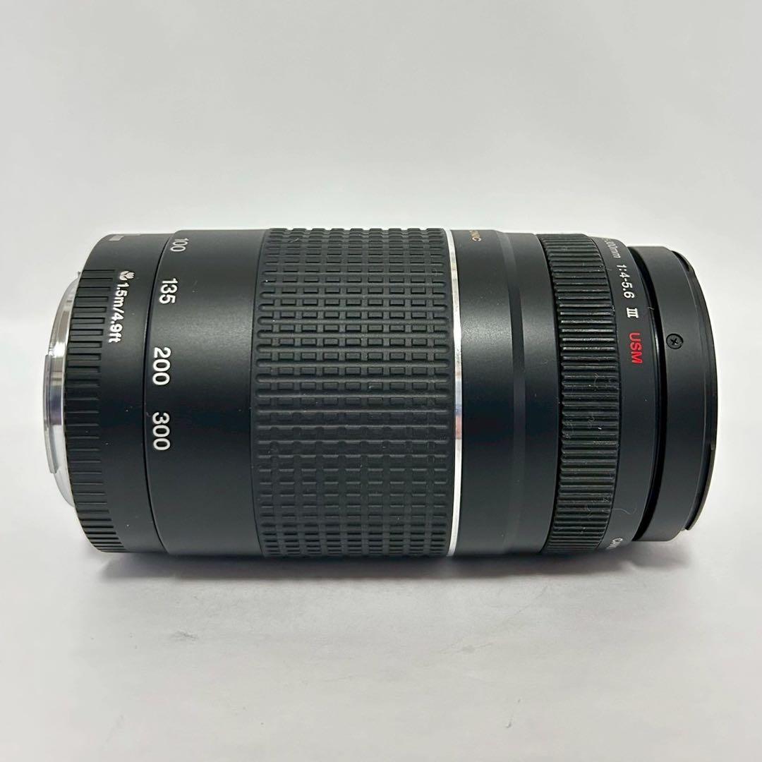 レンズ(ズーム) CANON ZOOM EF75-300mm F4-5.6 III USM