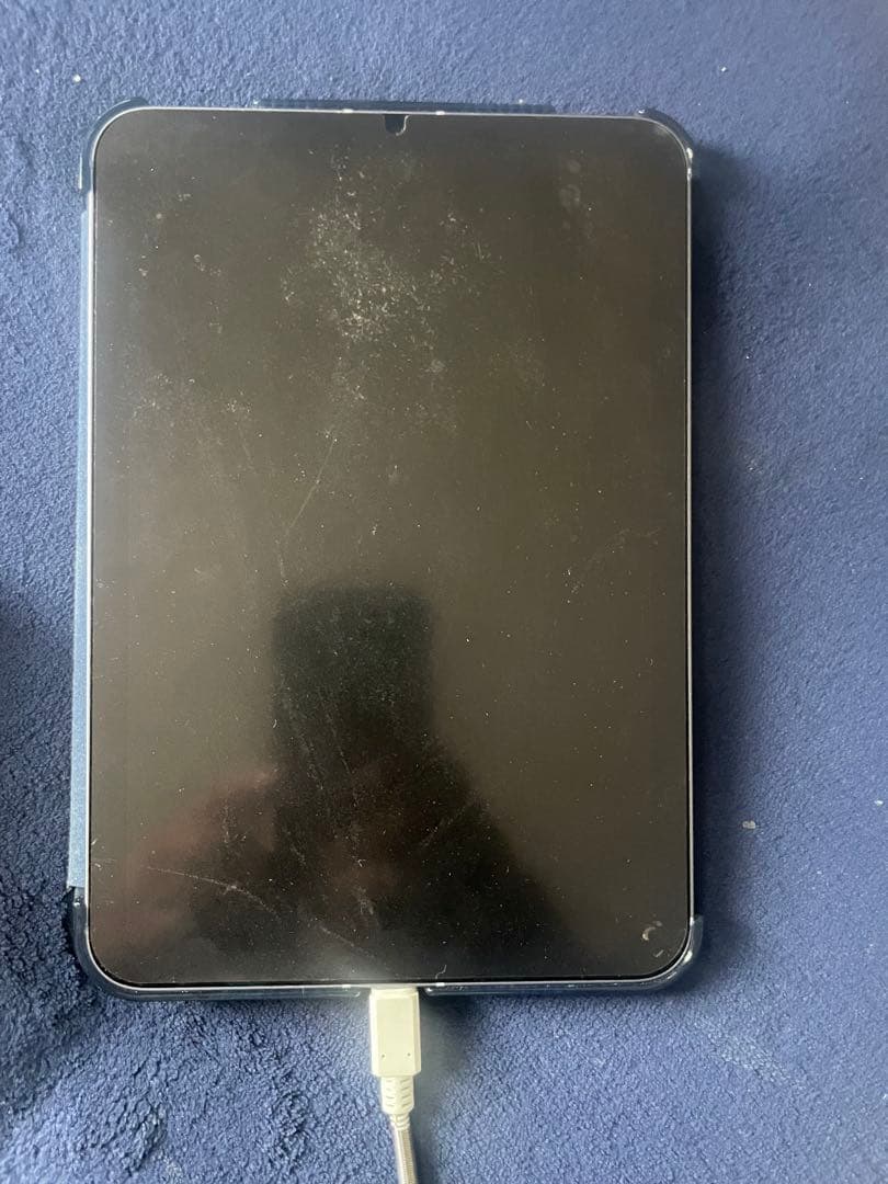 Apple iPad 第6 世代　256GB wifi calluler