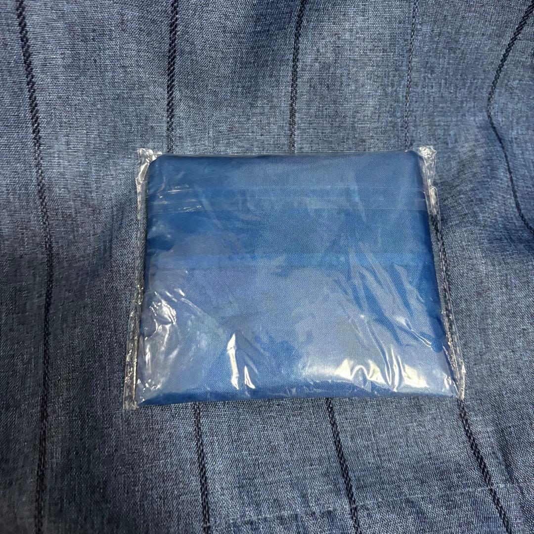 アンバサダーホテル パジャマパーティー ミニー ぬいぐるみ パジャマ　ディズニー