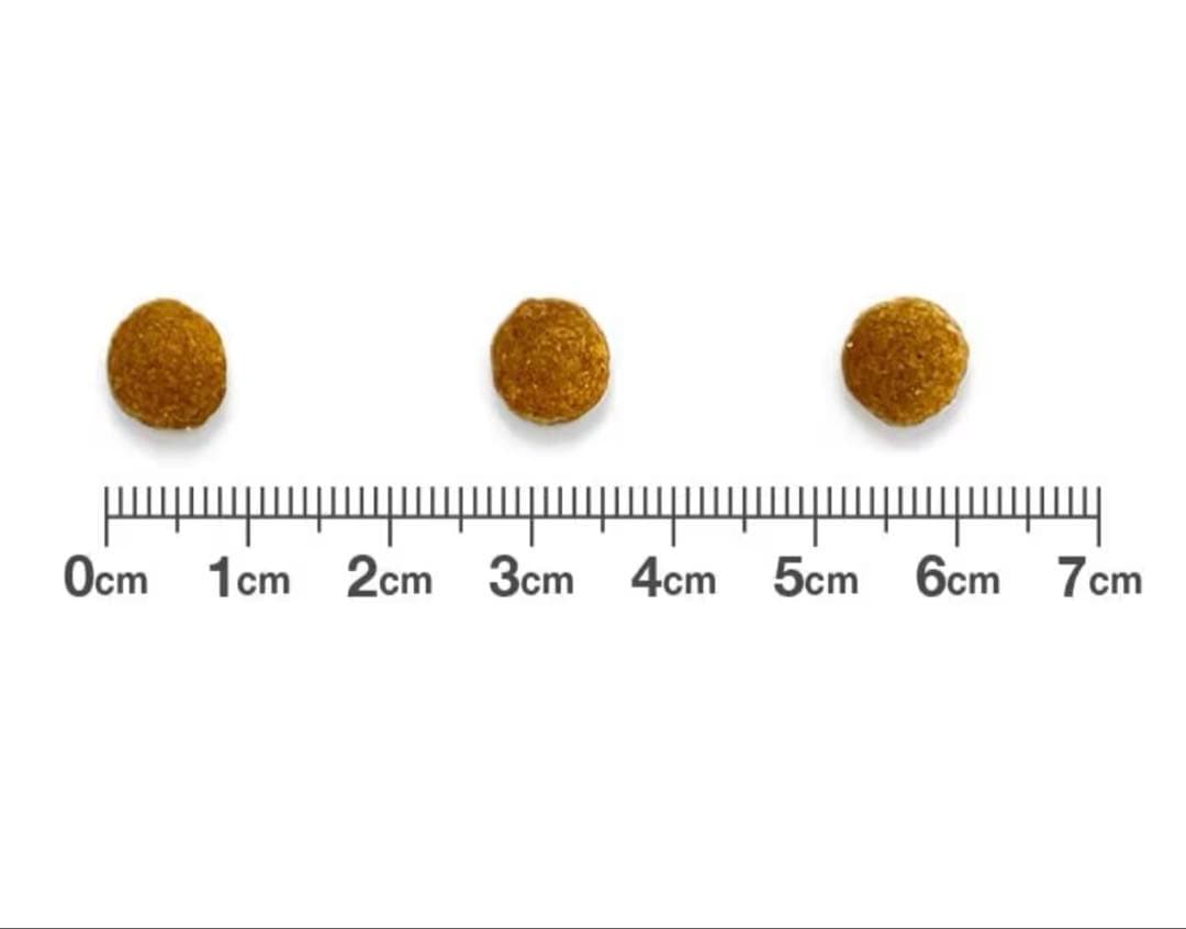 2袋セット　VETS One 療法食 2kg フィッシュ味
