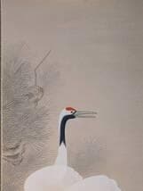 【真作】掛軸　松上鶴　吉祥を描く優雅な彩色美　長寿と繁栄　共箱入　T143