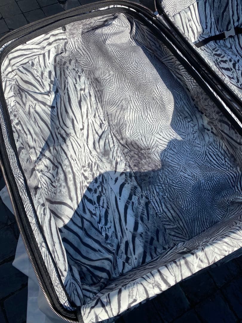 サムソナイト　アレクサンダーマックイーン　スーツケース　Samsonite