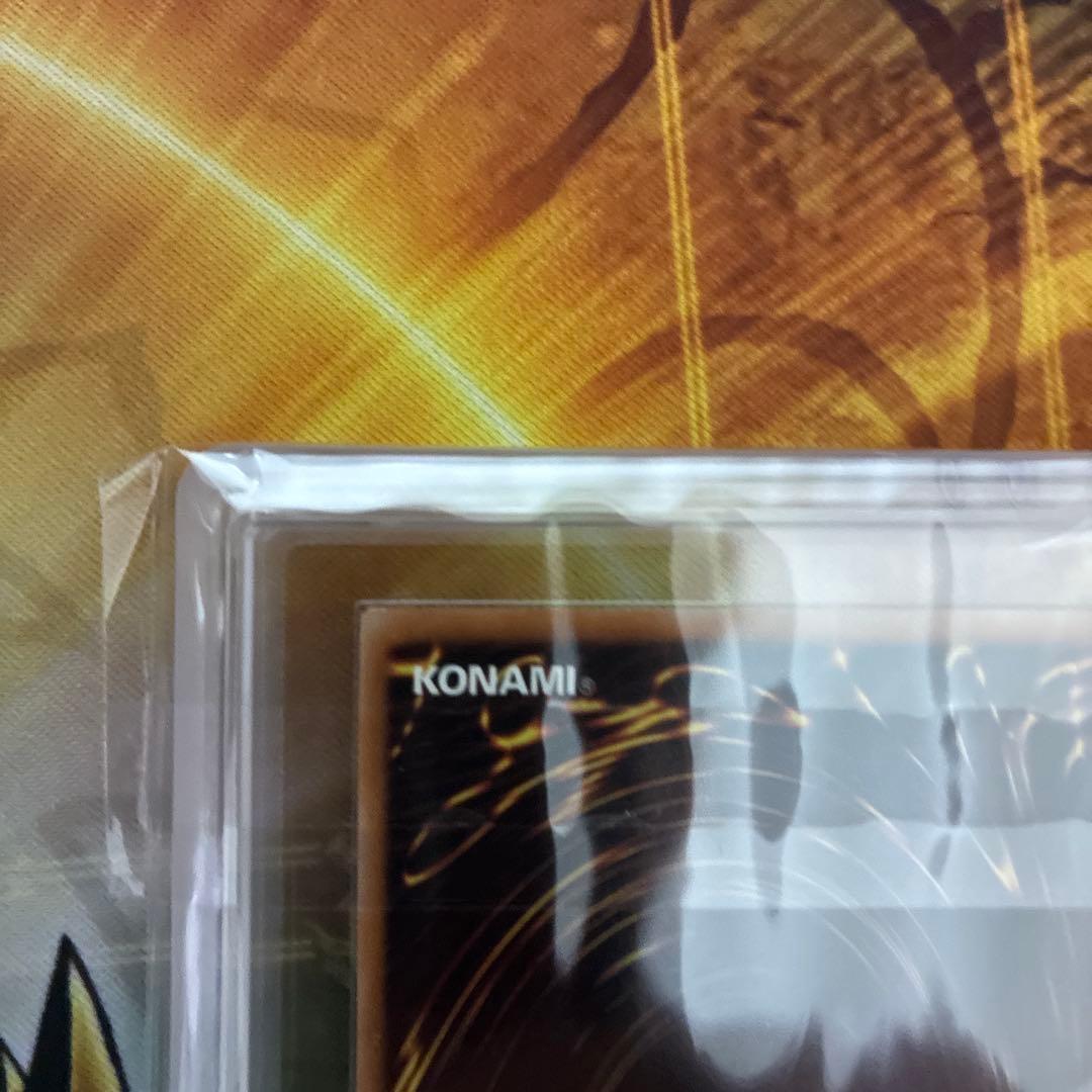 遊戯王　ブラックローズドラゴン　レリーフ　ARS9