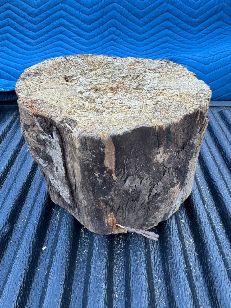 ベトナム材　VN材　15cm×20cm 産卵木