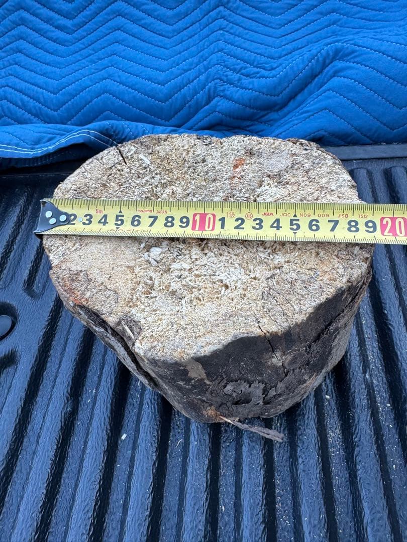 ベトナム材　VN材　15cm×20cm 産卵木