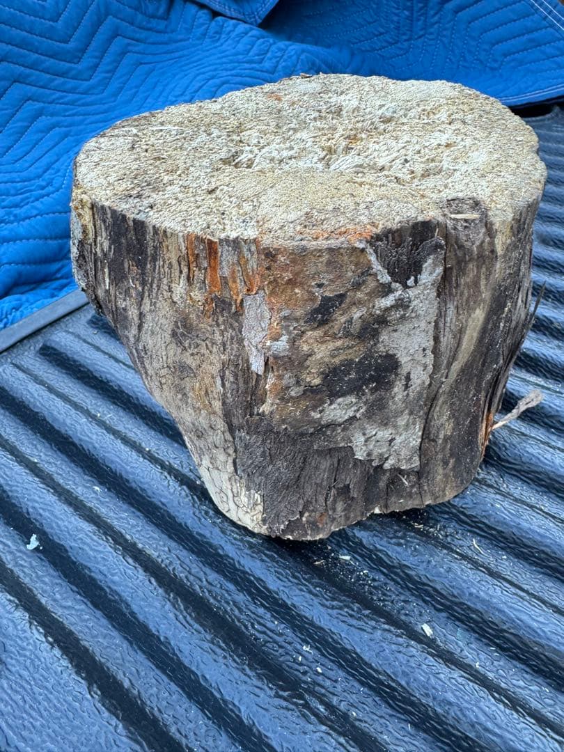 ベトナム材　VN材　15cm×20cm 産卵木