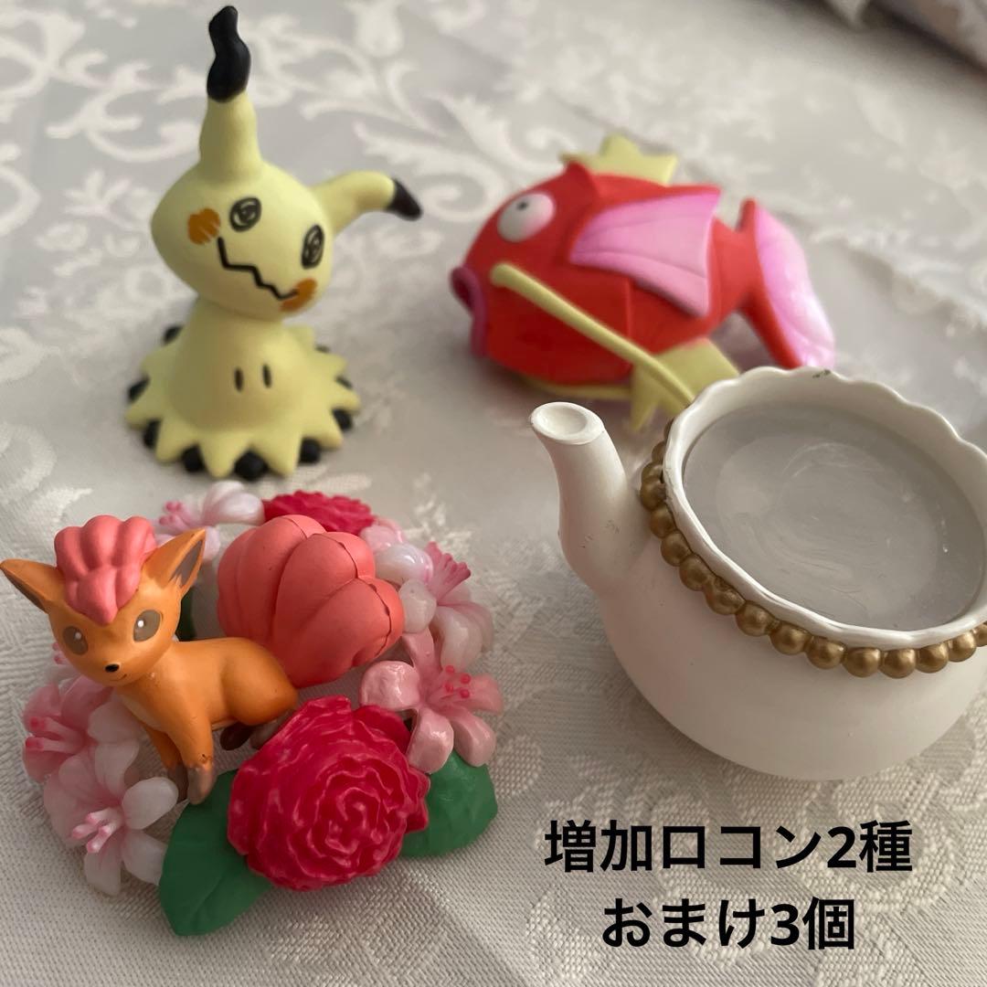 合計11個　ポケモンテラリウム4 +他6個　ブラッキーなし