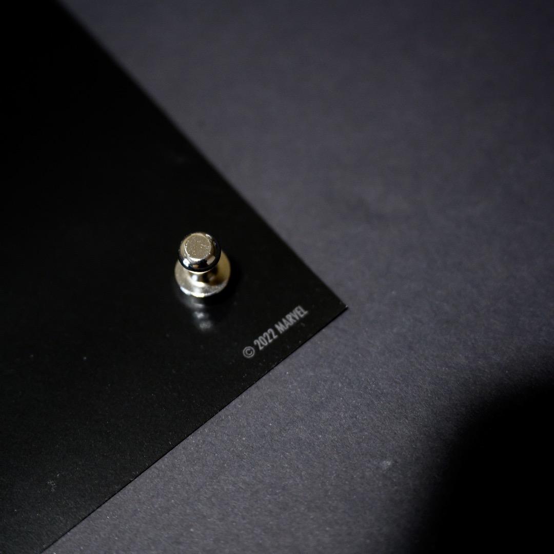 【映画館用両面ポスター】ブラックパンサー／ワカンダ・フォーエバー Ver.A