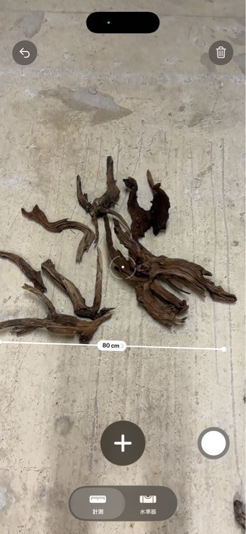 ADA ホーンウッド　流木　アクアリウム　テラリウム　大型