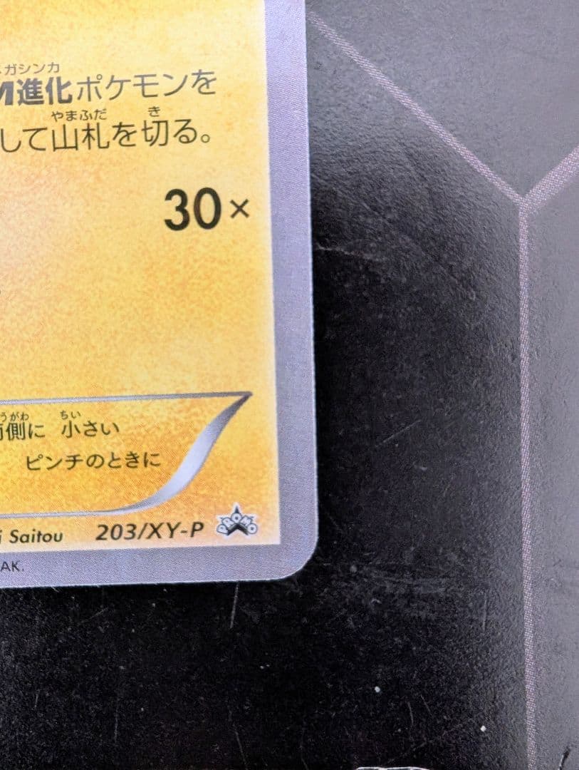 【超美品】《カロス御三家スリーブ付き》ポンチョを着たピカチュウ