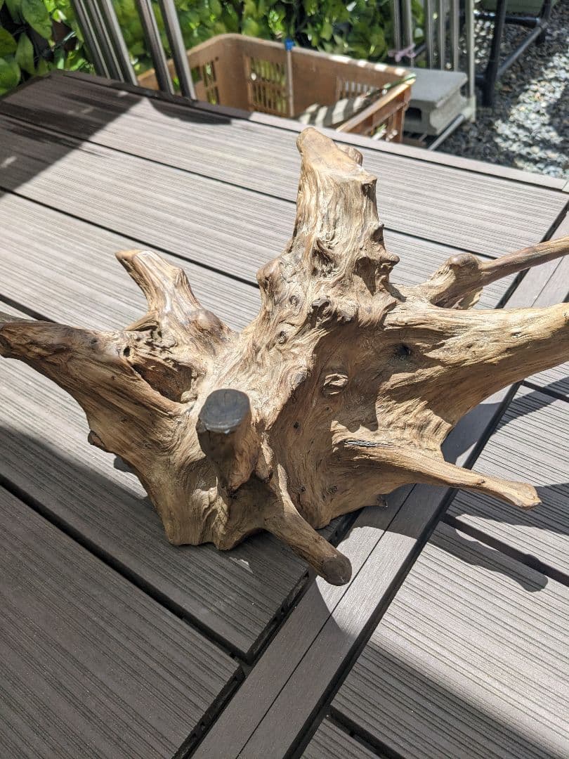 天然木 流木 レイアウト用品