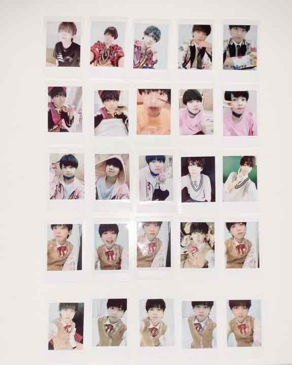 パラゴン パンダドラゴン チェキ