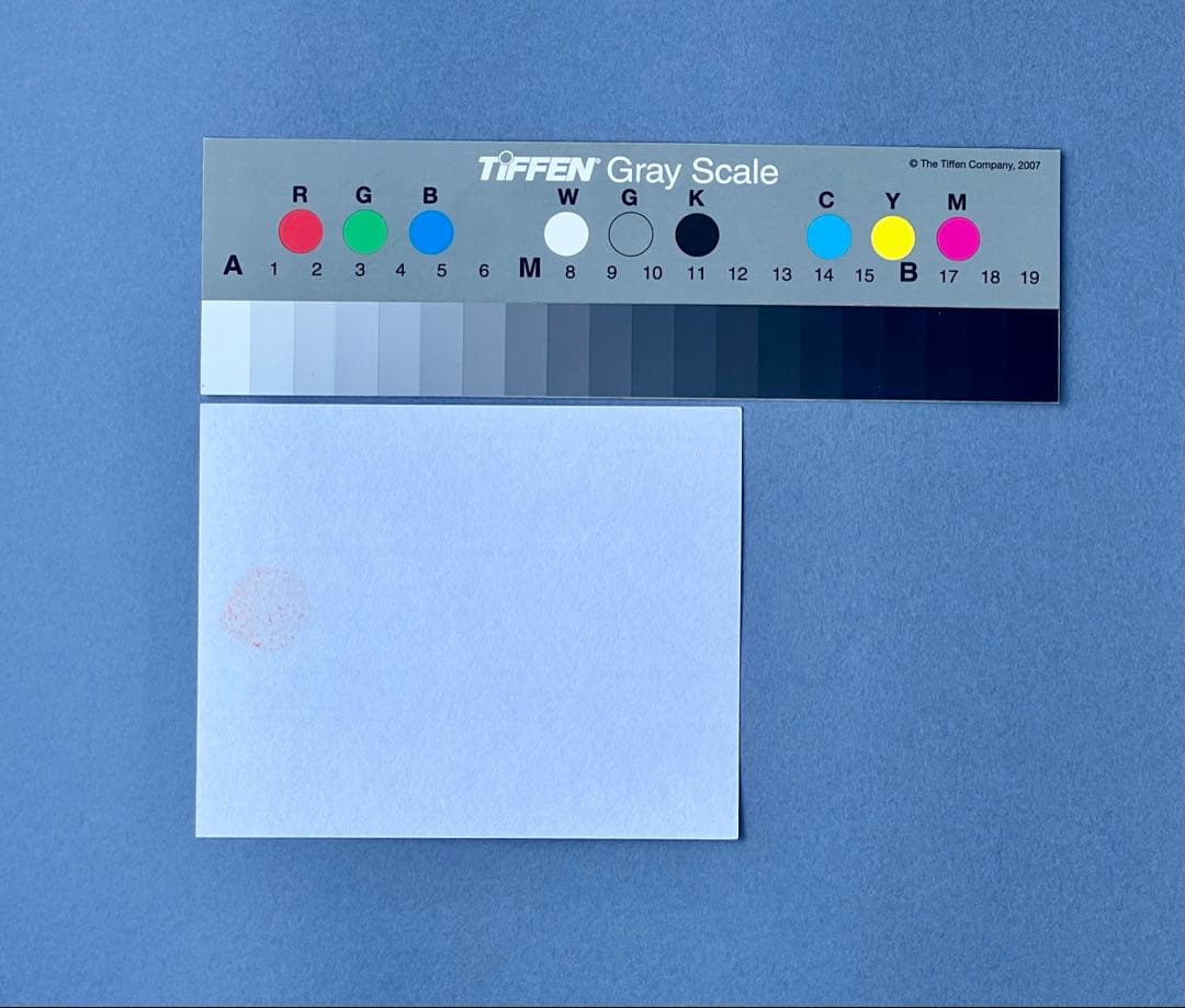 Fujiko Hemming 真作保証フジ子ヘミングFuzjko Hemming