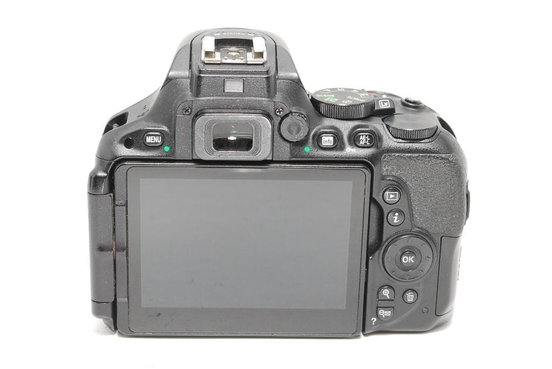 【美品】Nikon D5500　Wi-Fi搭載　すぐスマホ転送　タッチパネル撮影