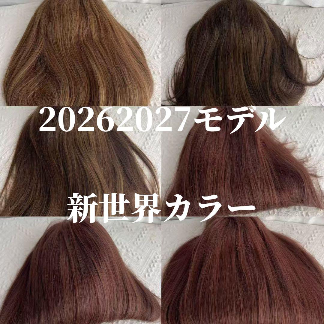 2026新世界　人毛　ウィッグ　フルウィッグ　シルクスキン　医療ウィッグ　レミー