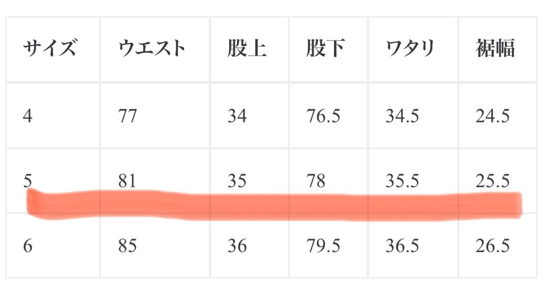 CIOTA スビンコットン ウエポン チノパンツ 5