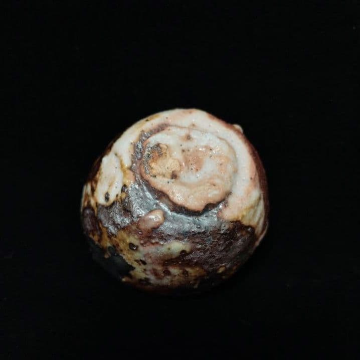 新作　樋口雅之　窯変鼠志野酒呑