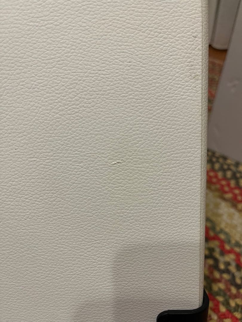 THE BEATLES LPレコードキャリーケース