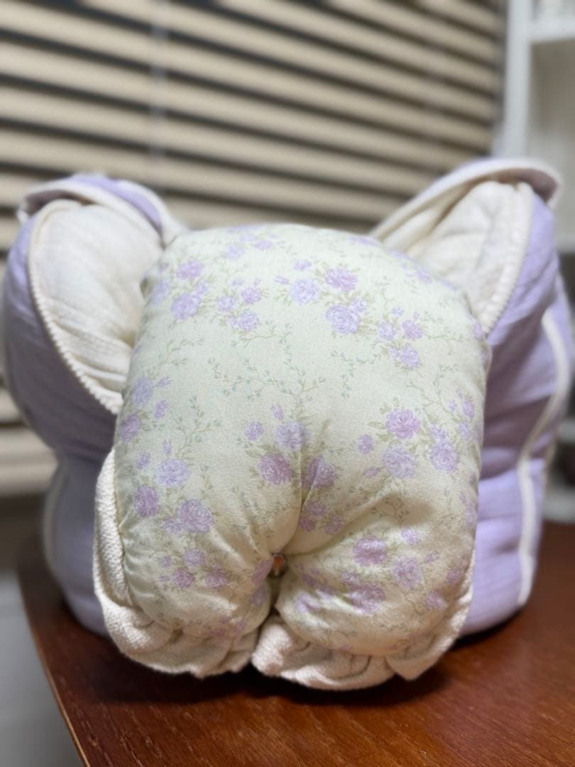 韓国　carocara コットンキャリーバッグ　インナーメッシュ有り