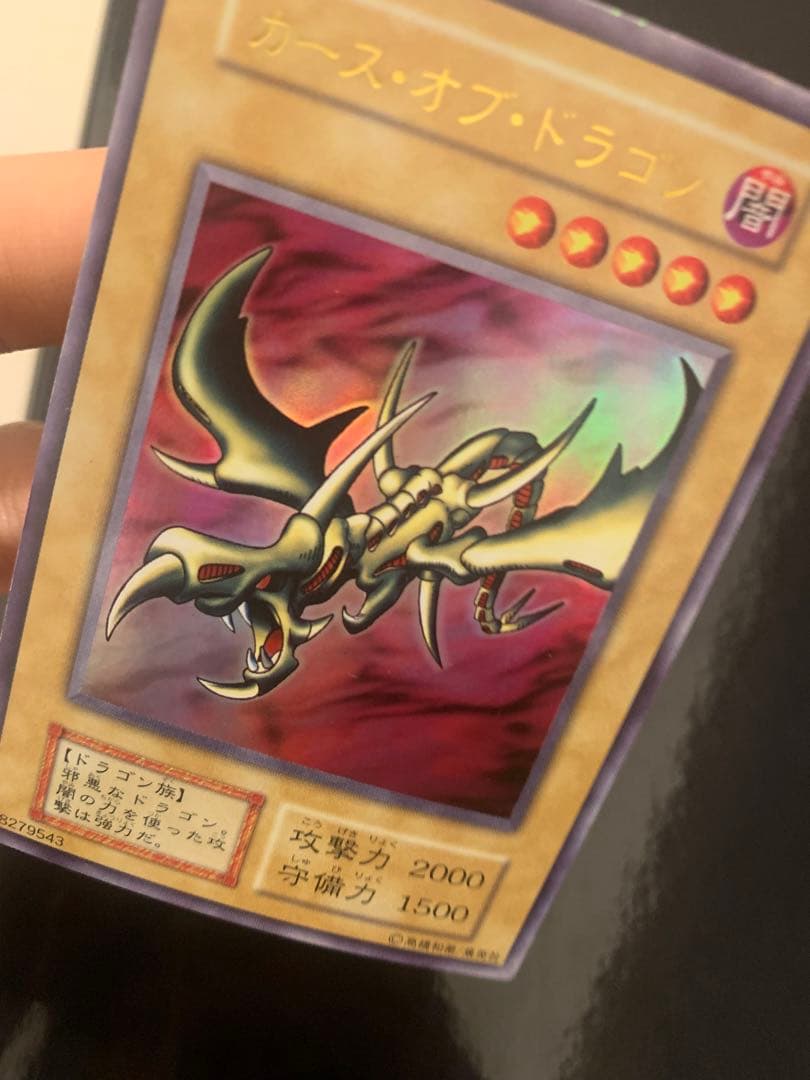 カース・オブ・ドラゴン　確認用