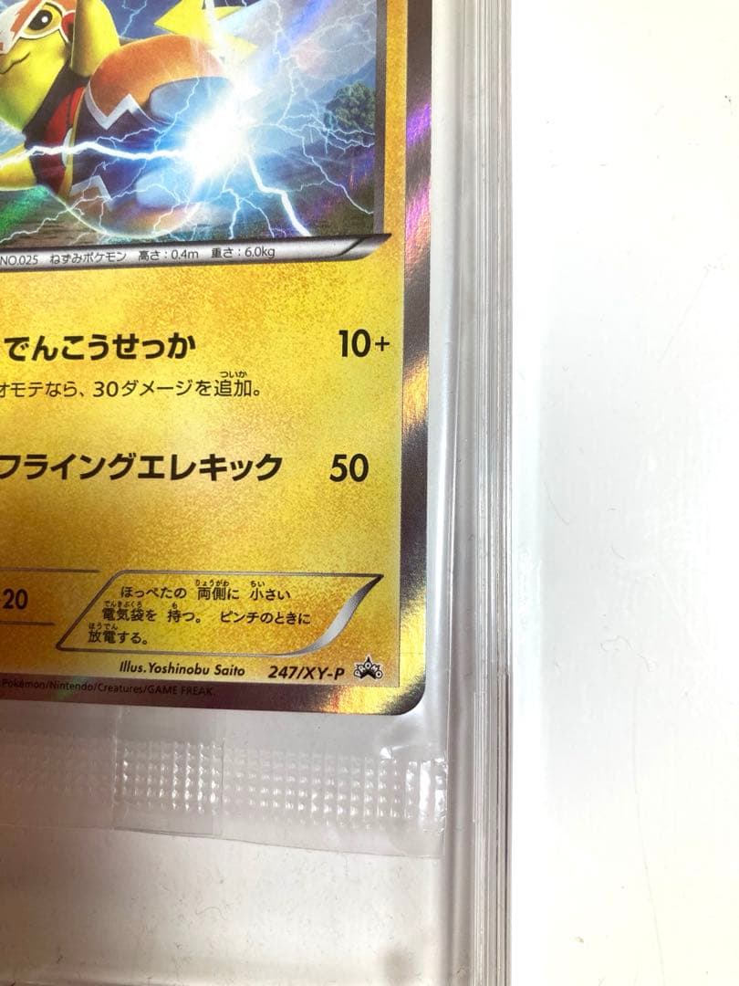 マスクドピカチュウ：マスクド・ピカチュウ スペシャルパック PROMO XY