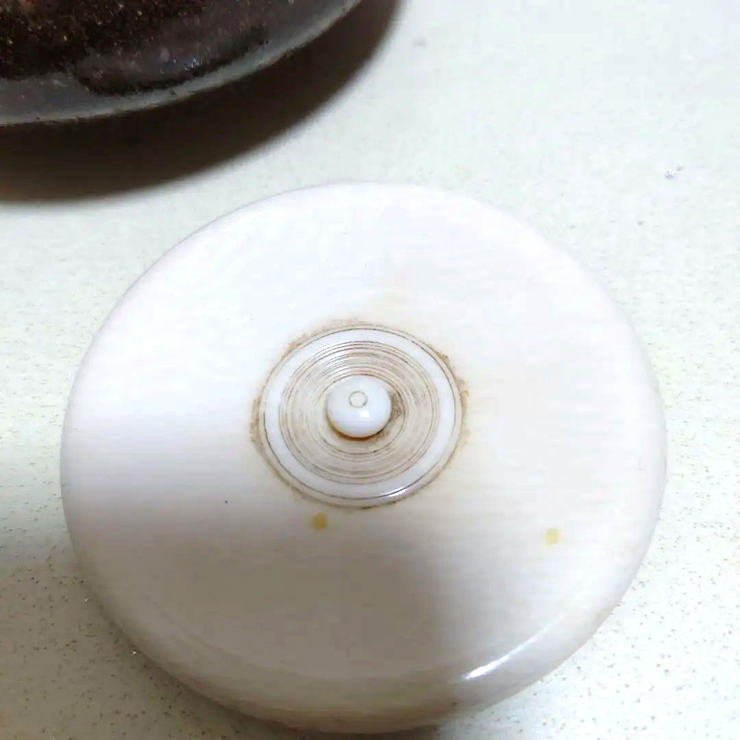 大海茶入、陶勝作、ひち17番