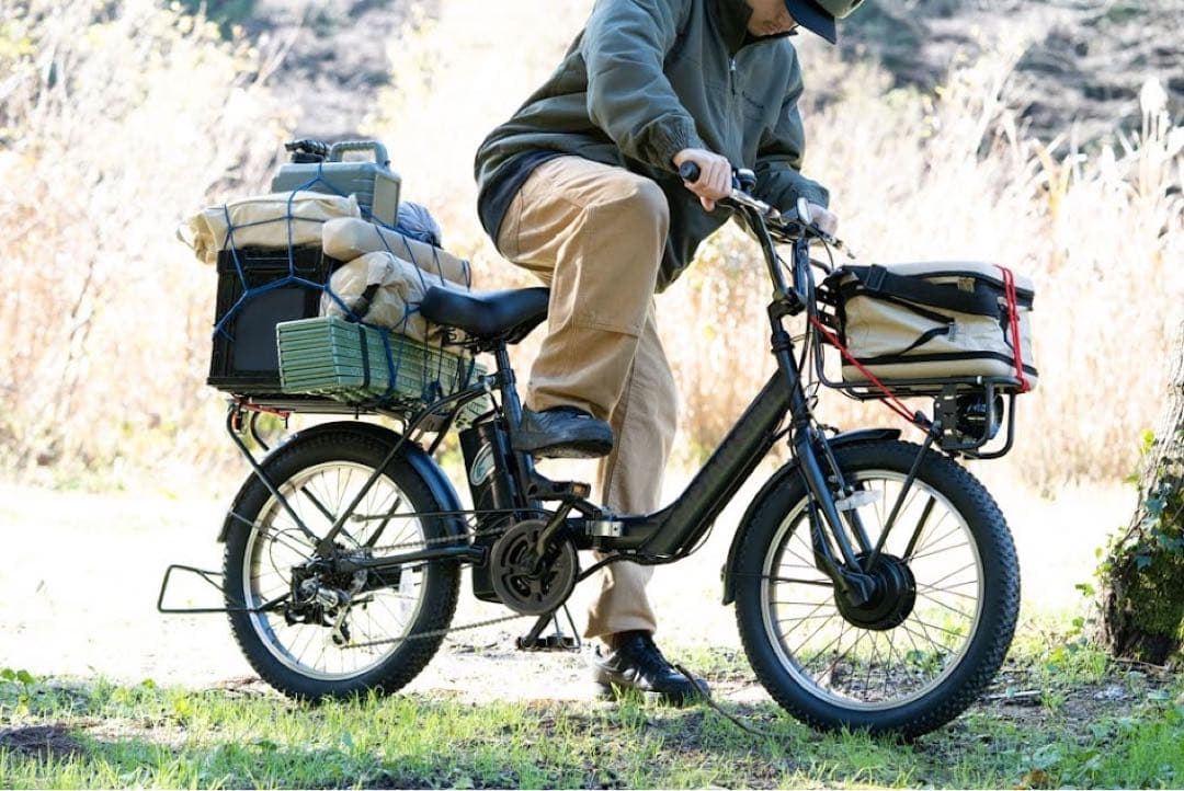 eバーギー電動　FDB206（YG-1502）電動アシスト自転車