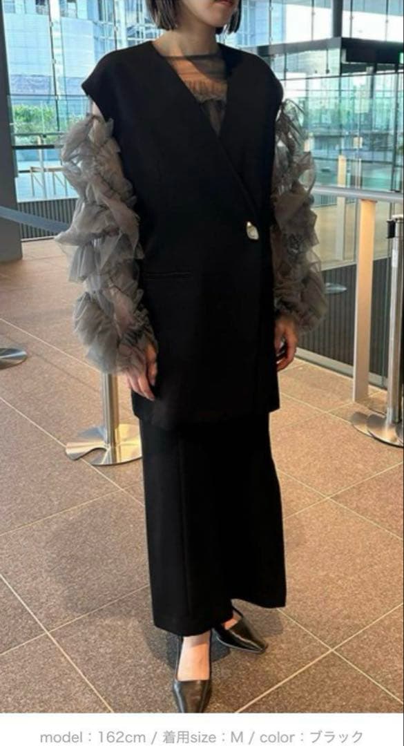 ANDRESD バックシアージレセットアップ　デコラティブチュールトップス