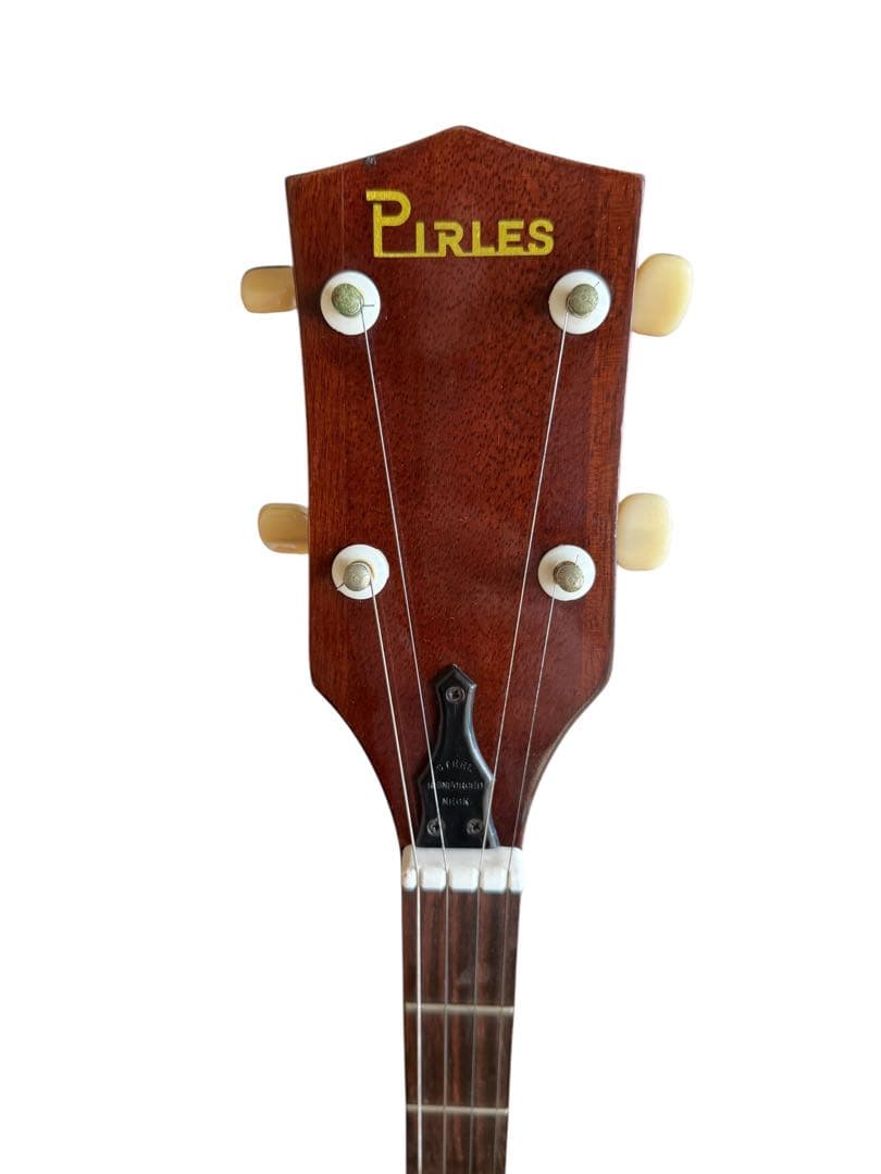 ロングネックバンジョー