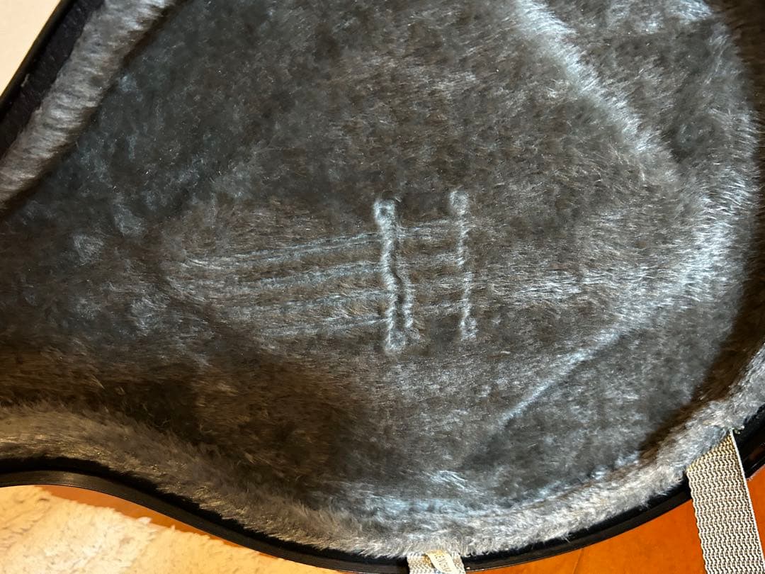 【極美品】 完品　K.Garage VM-6E マンドリン　ハードケース付き