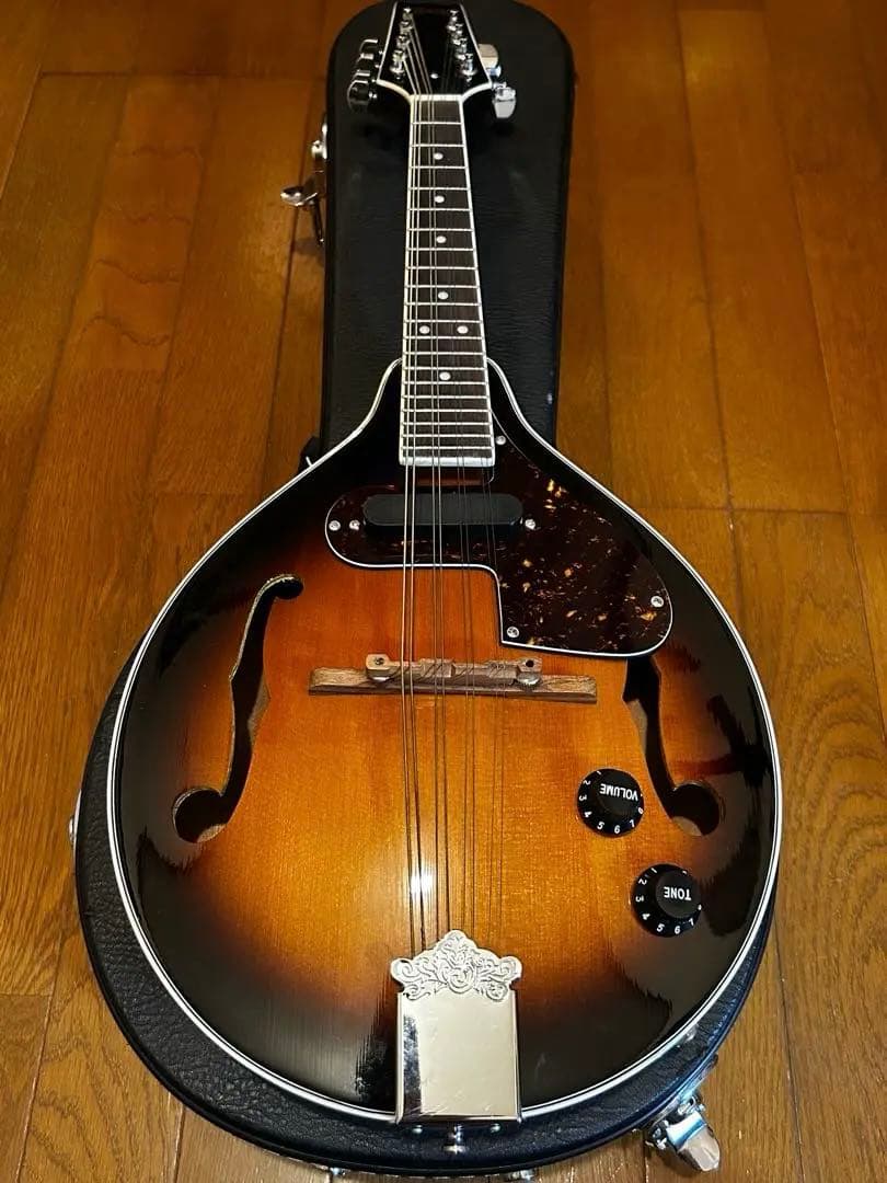 【極美品】 完品　K.Garage VM-6E マンドリン　ハードケース付き