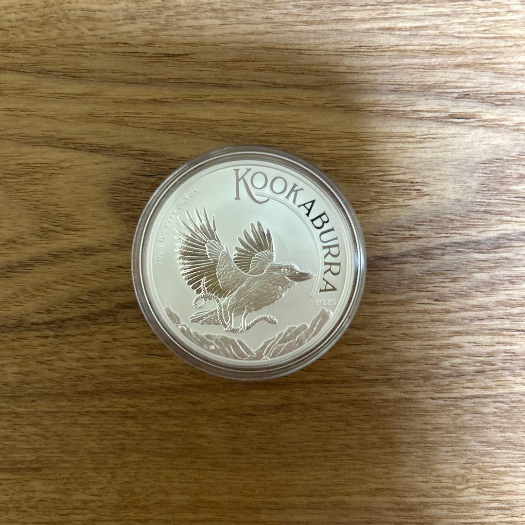 銀　2024 カワセミ