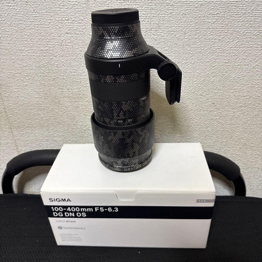 sigma 100-400mm F5-6.3 Eマウント