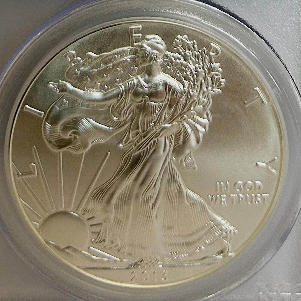 2013年 アメリカンイーグル PCGS MS70 　28258586