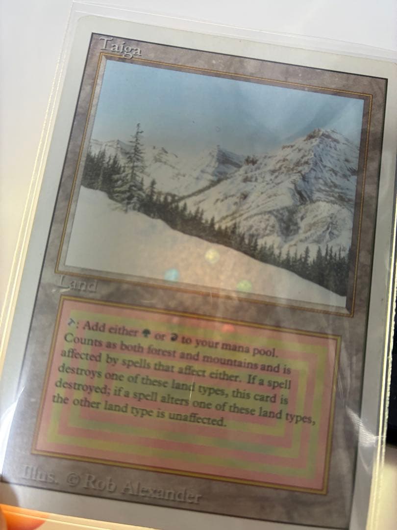 タイガ　Taiga [3ED] 英語版　山　森　デュアルランド　レガシー　統率者