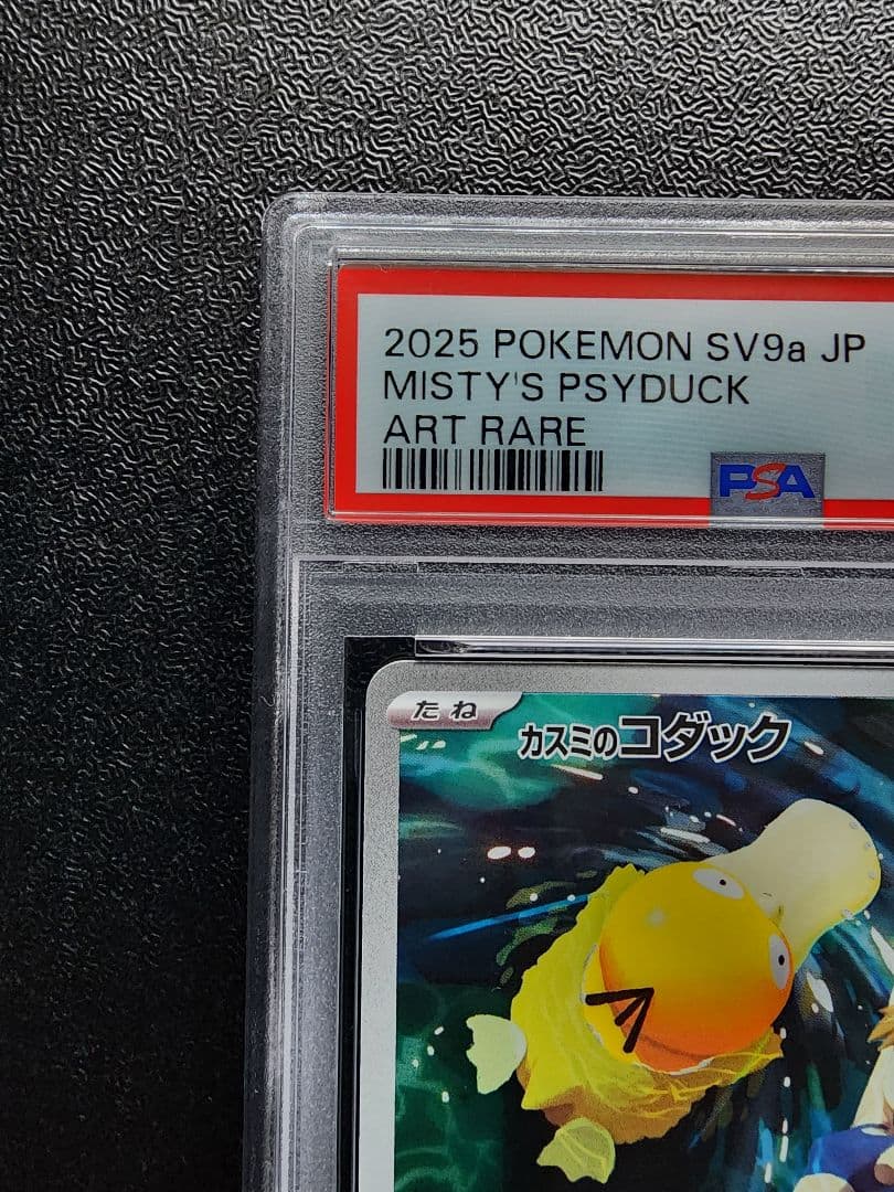 カスミのコダック AR PSA10