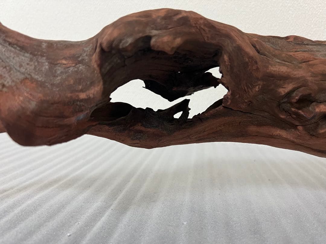 HX-075 流木　ホーンウッド　マシンガンウッド　アクアリウム　ブランチウッド