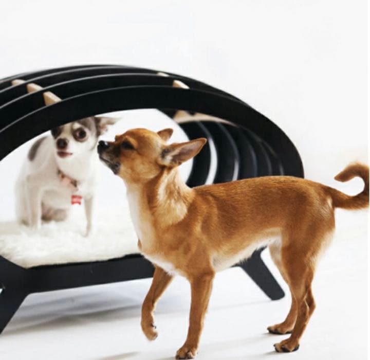 ペット用 モダンデザイン ロシアPettel社製 愛犬 ヨーロピアン 高級家具