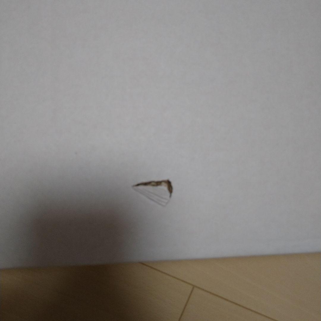 スノーピーク　ワンアクションテーブルロング