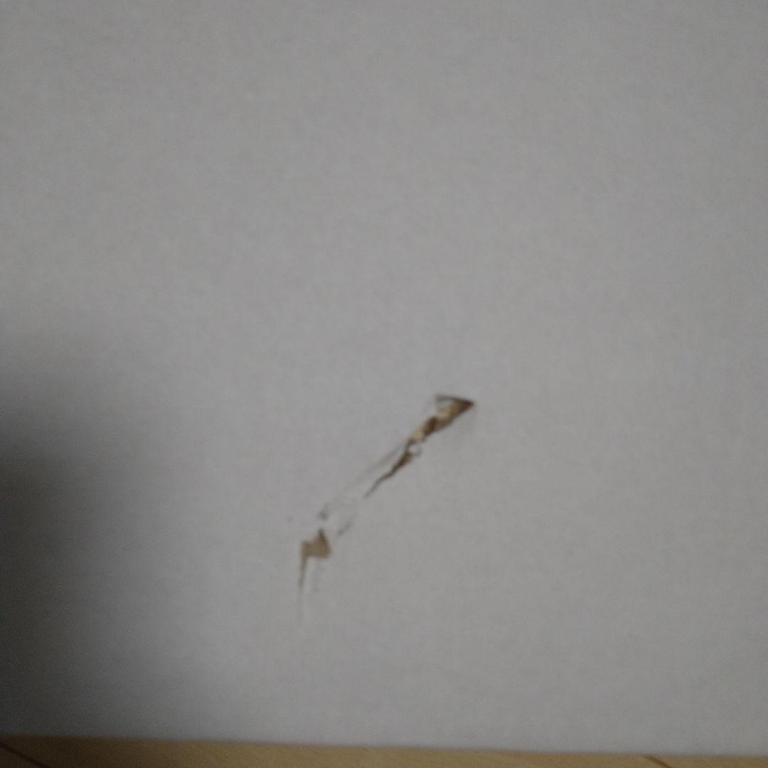 スノーピーク　ワンアクションテーブルロング