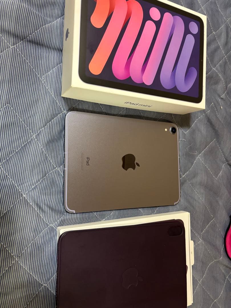 iPad mini 第6世代 Wi-Fi＋セルラーモデル 256 ios18.6