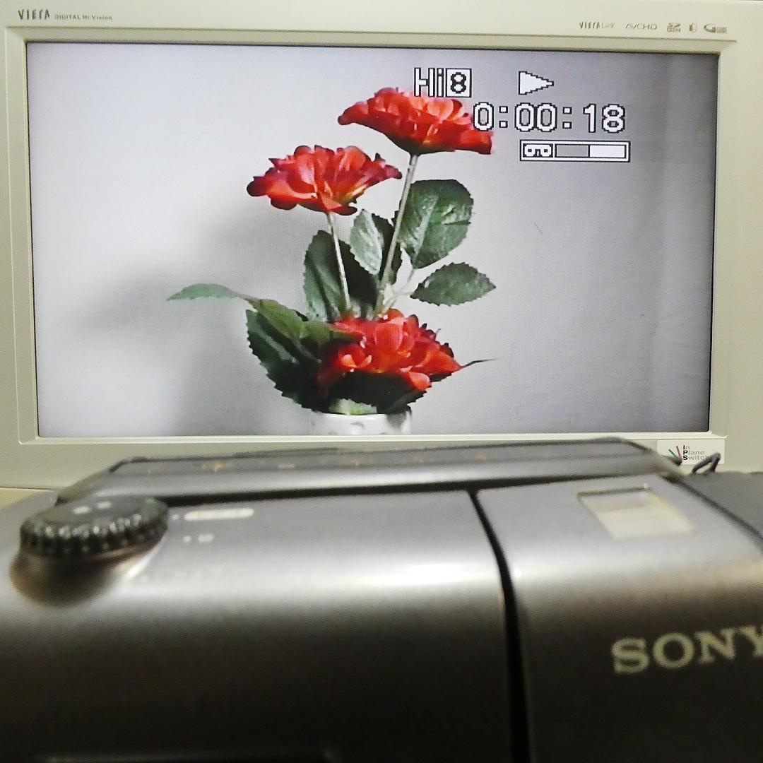 動作良好 VideoHi8 ソニーCCD-TR11 8ミリビデオ　DVD化に最適