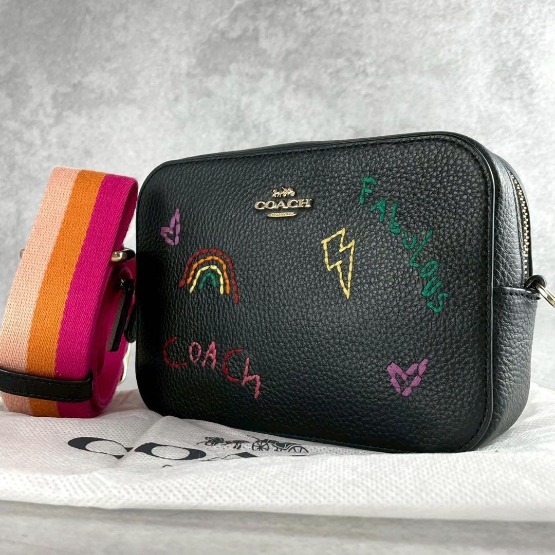 ✨稀少✨美品✨コーチ　ダイアリー　カメラバッグ 2way 刺繍　レザー　ブラック
