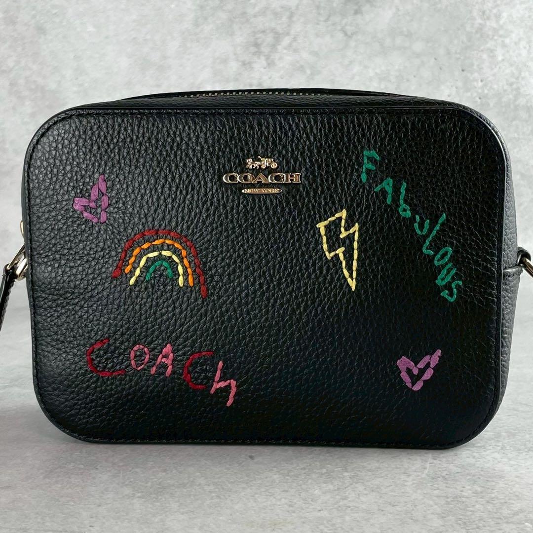 ✨稀少✨美品✨コーチ　ダイアリー　カメラバッグ 2way 刺繍　レザー　ブラック